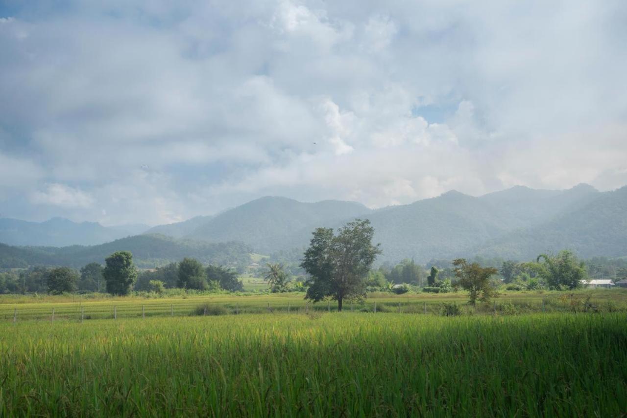 Camp View Mountain - Sell Experience By Paddy Fields Haven - Natures Nest Pai Eksteriør bilde