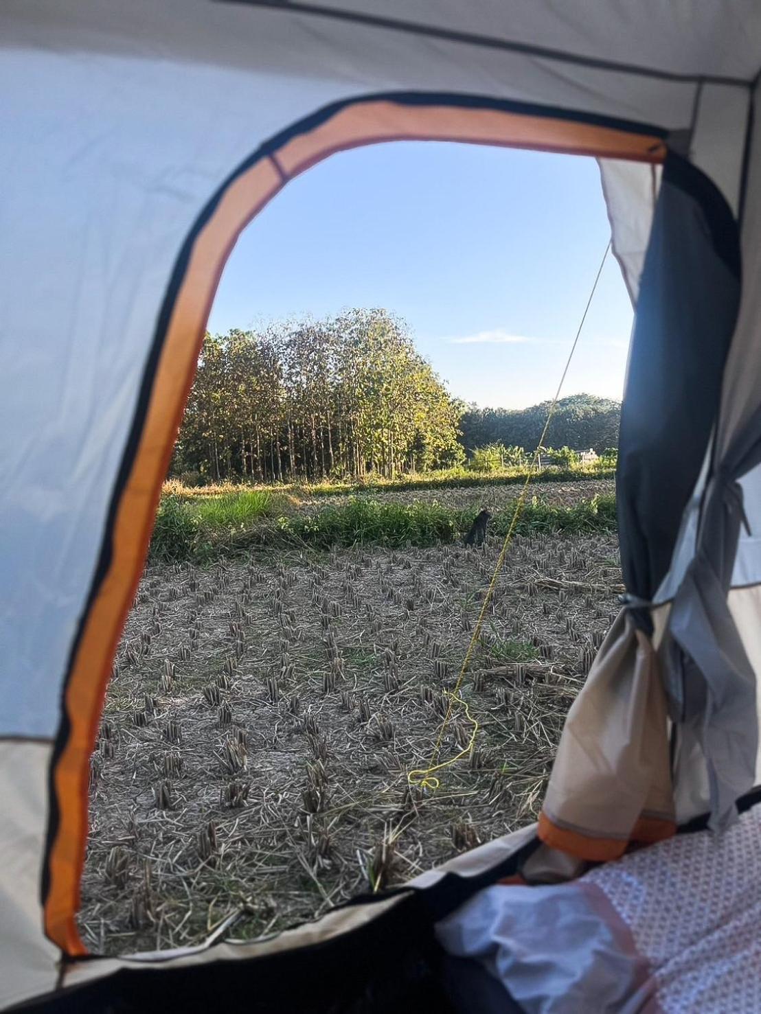 Camp View Mountain - Sell Experience By Paddy Fields Haven - Natures Nest Pai Eksteriør bilde